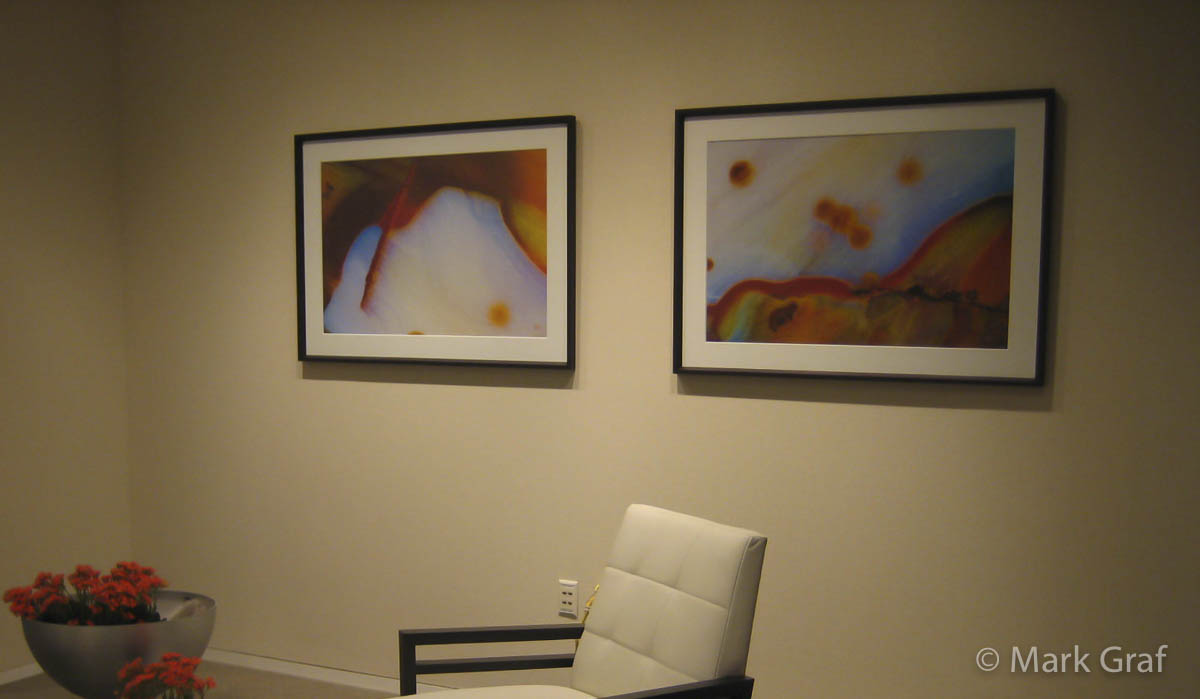 Corporate Conference room art