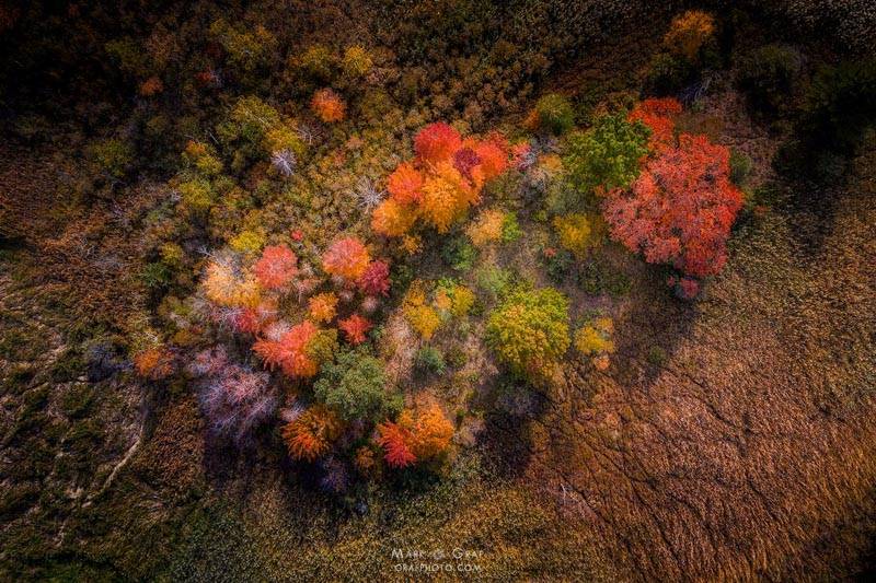 Aerial patterns in nature for wall art and drone services Michigan aerial landscape photos
