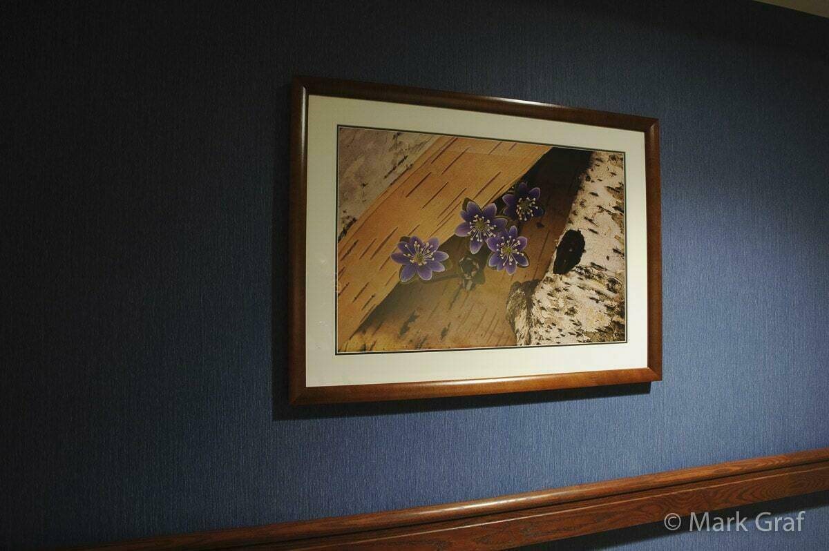 health care fine art nature photography