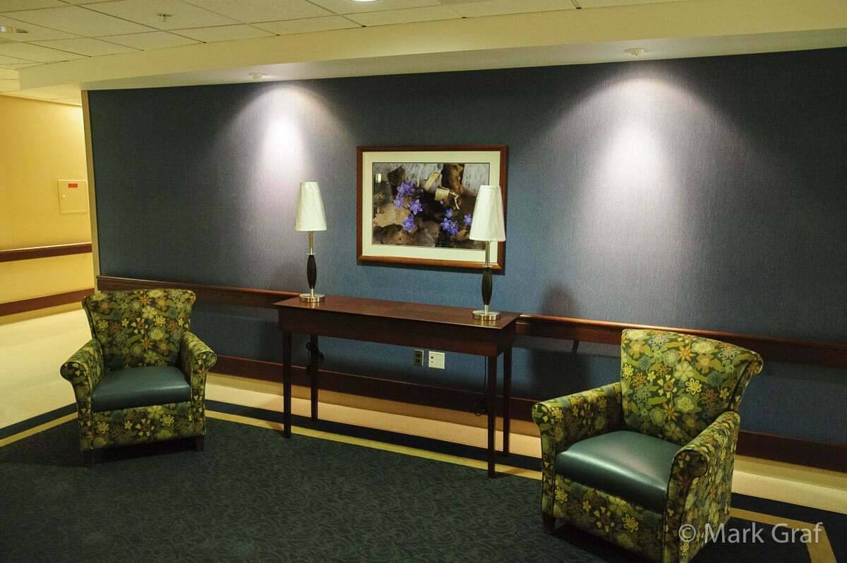 healing nature art waiting area nature wall art