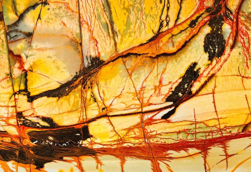 macro photos abstract wall art creative nature abstract art