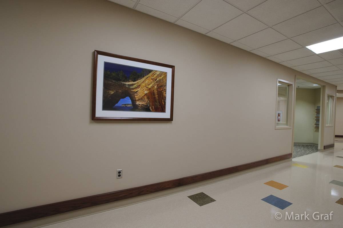 hospital nature art ecotherapy art installations