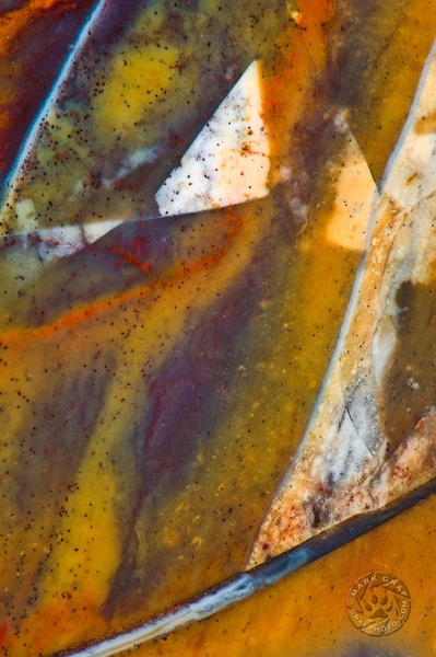 Jelly Bean Jasper  Triangles RO8860