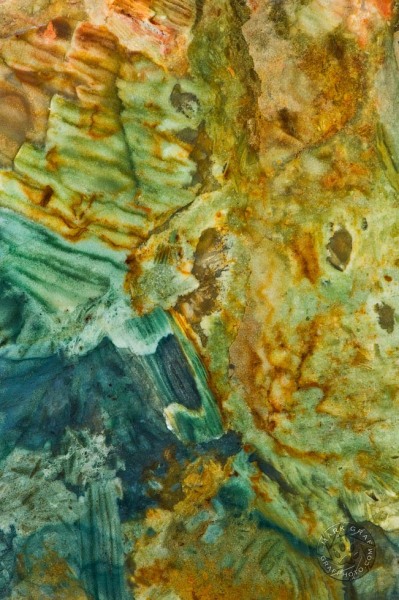 Petrified swamp jasper abstract rock art RO8739