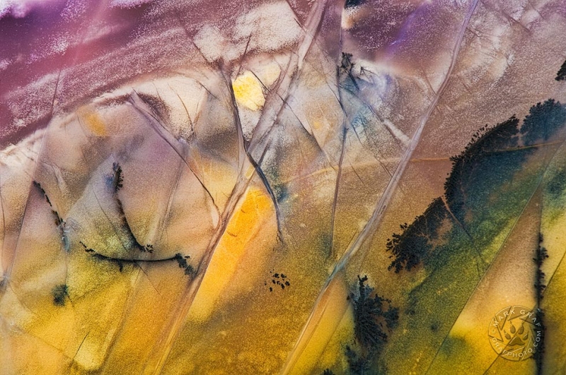 Burro Creek Agate abstract RO8759