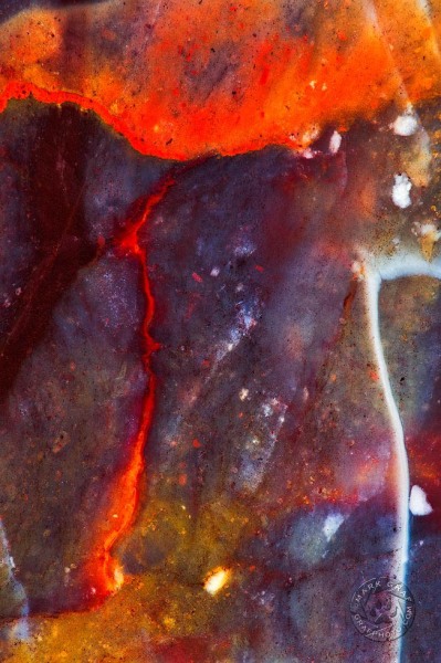 Jelly Bean Jasper RO9055