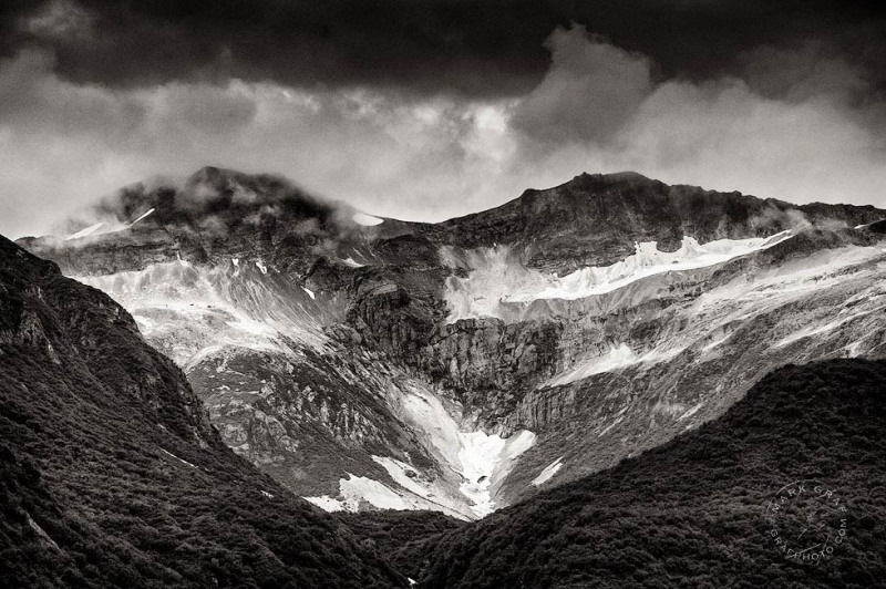Katmai mountain ash LA9711