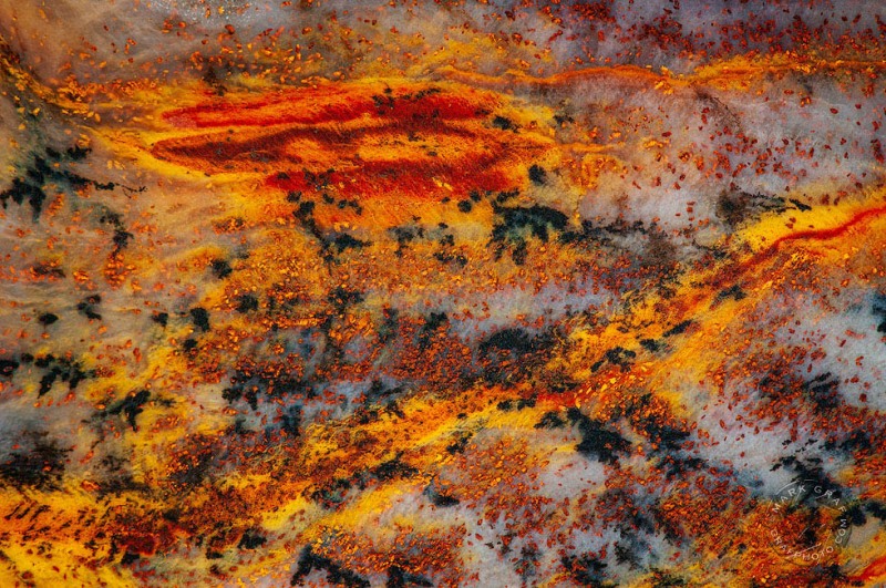Saddle Mountain Petrified Wood RO10617