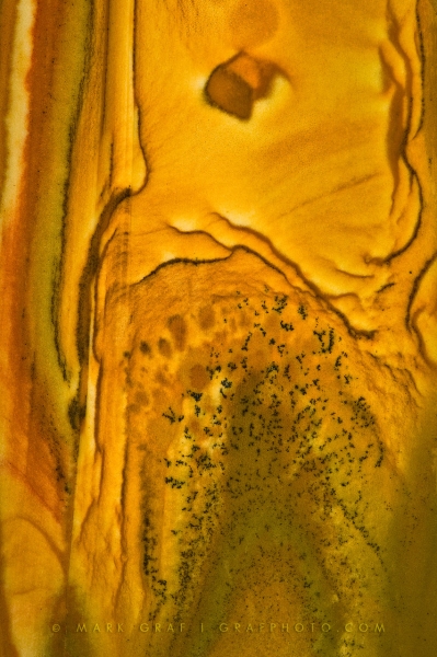 Picture Jasper Abstract RO8731