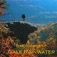 Gale Rainwater