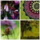 Seedplanter Designs