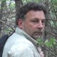 Forest Rat