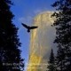 Gary Crabbe / Enlightened Images