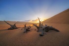 Ghost forest sunrise SL10871 Ghost forest sunrise SL10871