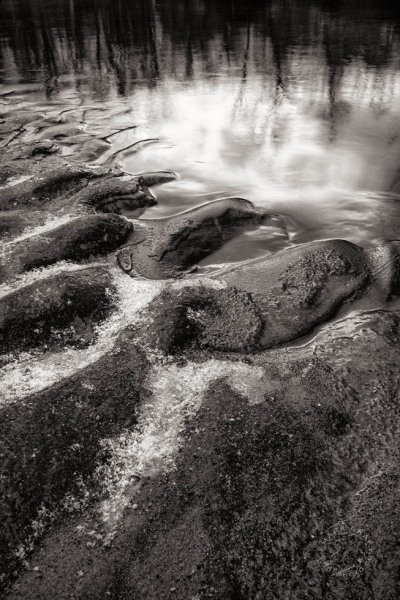 Clinton River mudflat LA10231