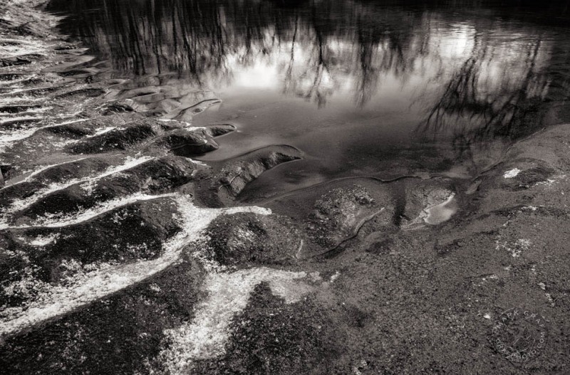 Clinton River mudflat LA10232
