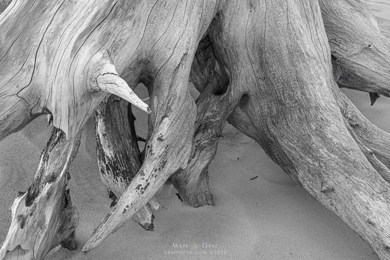 Michigan Dune Totem 4 SA10627