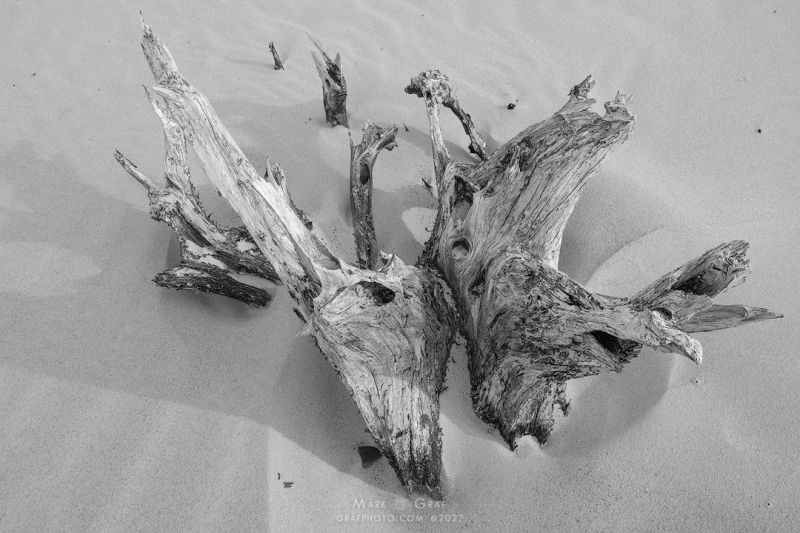 Michigan Dune Totem 2 SA10078-2