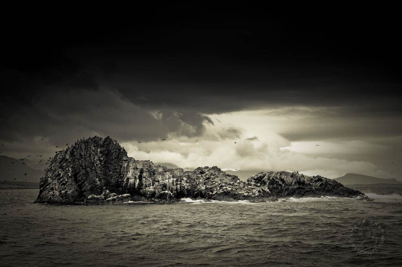 Shelikof Sea Lion & Cormorant colony SA9128
