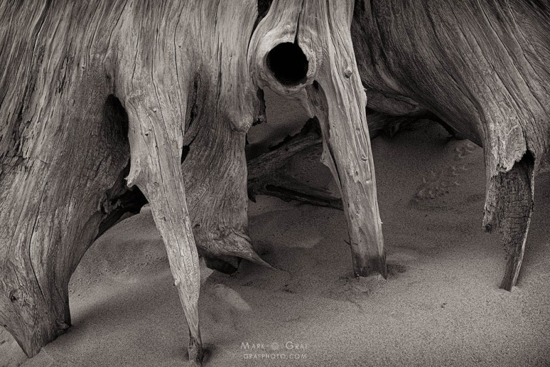 Dune Dancer SL10376