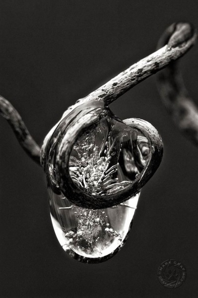 Frozen Rain Drop WA8360