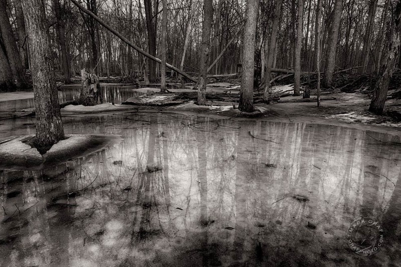 Winter Thaw WI9798