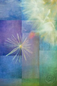 Dandelion Seed Mosaic FL10020 Dandelion Seed Mosaic FL10020