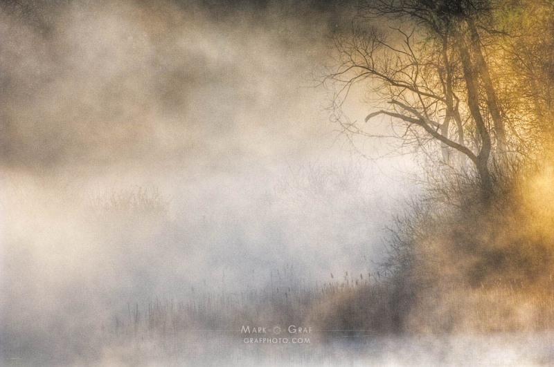 Moving Mist LA8379