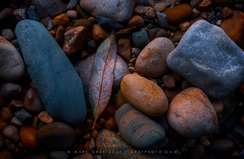 Fallen Leaf and Riverbed Rocks RO10785