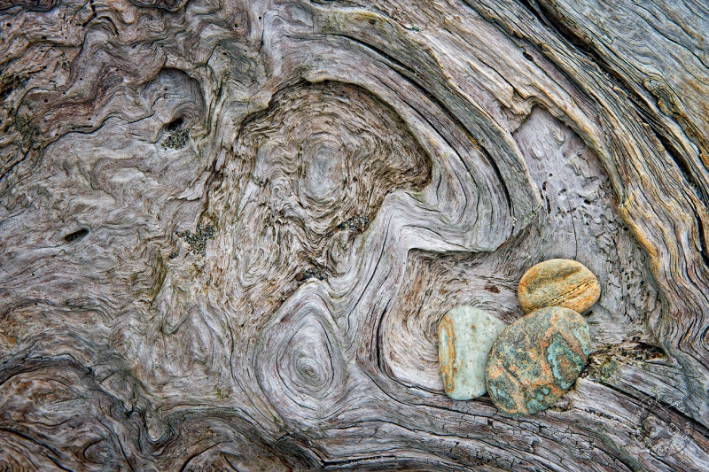 Stones-and-Driftwood-RO9474