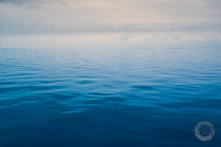 Tranquil morning on Lake St. Clair WA9750