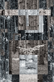 Duality: Lexington Forest 1998 PN10630 Duality: Lexington Forest 1998 PN10630