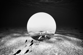 Duality: Sea Portal PN10652 Duality: Sea Portal PN10652
