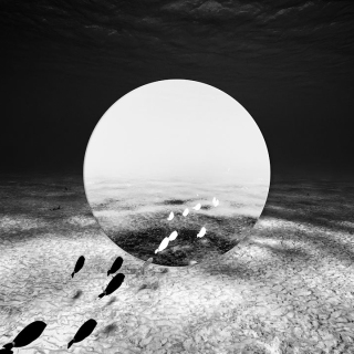 Duality: Sea Portal PN10652 Duality: Sea Portal PN10652
