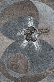 Duality: Sea star PN10653 Duality: Sea star PN10653