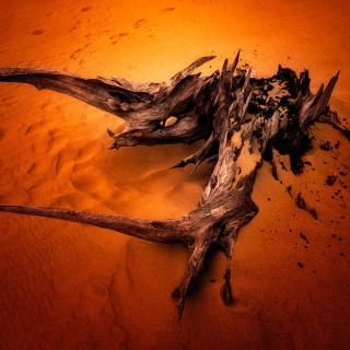 Dune Dragon Yazi SA10080 Dune Dragon Yazi SA10080