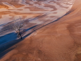 Morning Tree Shadows at Silver Lake Dunes AV10879 Morning Tree Shadows at Silver Lake Dunes AV10879