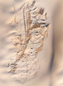 Dune Man AV10880 Dune Man AV10880