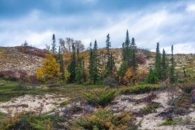 Zetterberg preserve at Point Betsie