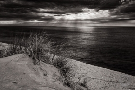 Dunegrass Monochrome SL9664 Dunegrass Monochrome SL9664