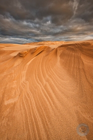 Dune Lines SL9843 Dune Lines SL9843