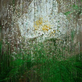 Elementals V (Trillium) RP10417 Elementals V (Trillium) RP10417