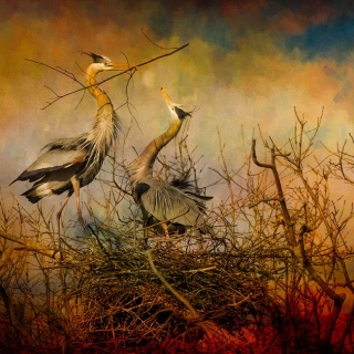 Heron offering BI9270