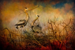 Heron offering BI9270