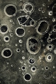 Time Bubbles IC10060 Time Bubbles IC10060
