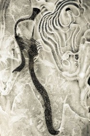 Music Notes in Ice IC8972