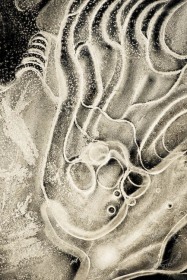 Ice Comet IC8973 Ice Comet IC8973