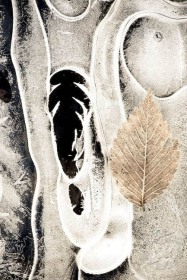 Ice Pattern & Leaf IC8975 Ice Pattern & Leaf IC8975