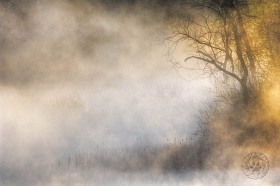 Moving Mist LA8379 Moving Mist LA8379