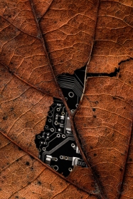 Artificial Living No. 01 (AL10862) Artificial Living No. 01 (AL10862)